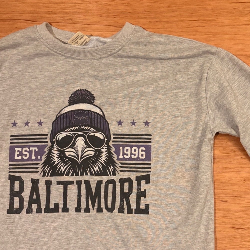 Comfort Colors Baltimore Raven Graphic Sweatshirt Gray XL Est 1996 Pullover